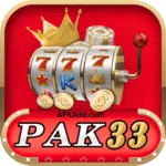 PAK33 Game